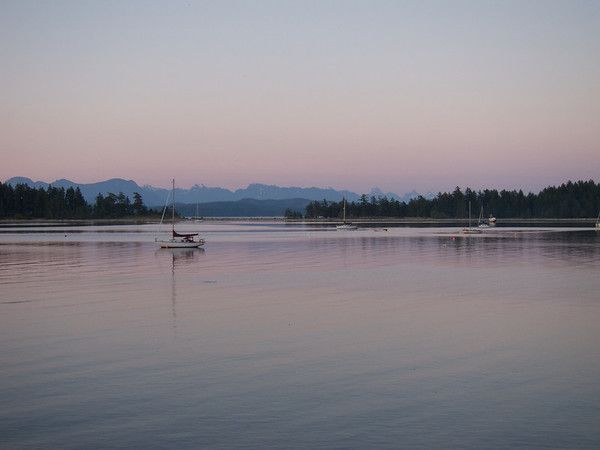 IMG_0888