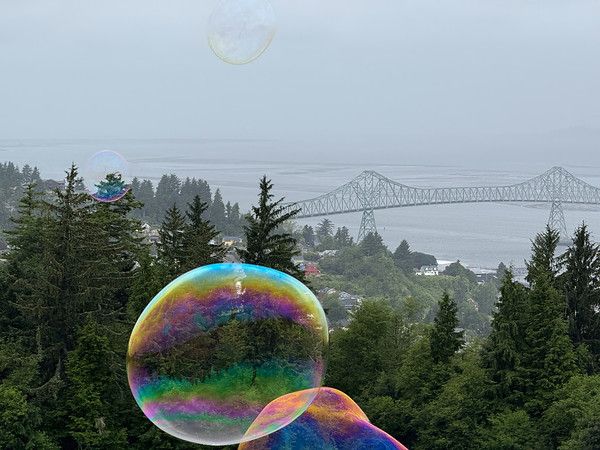 M_IMG_2547.jpg